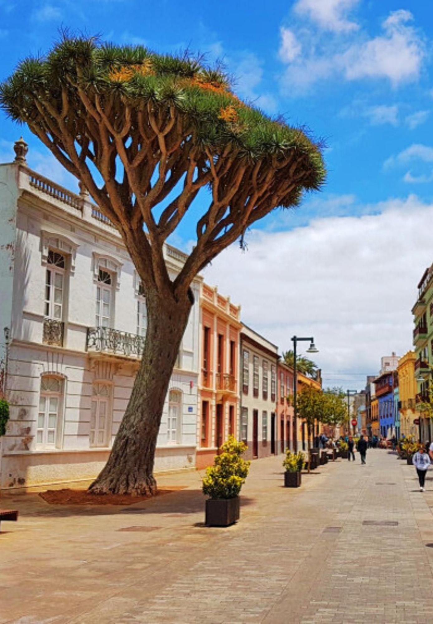 Acogedor Apartamento En El Corazon De La Laguna San Cristóbal de La Laguna Exterior foto